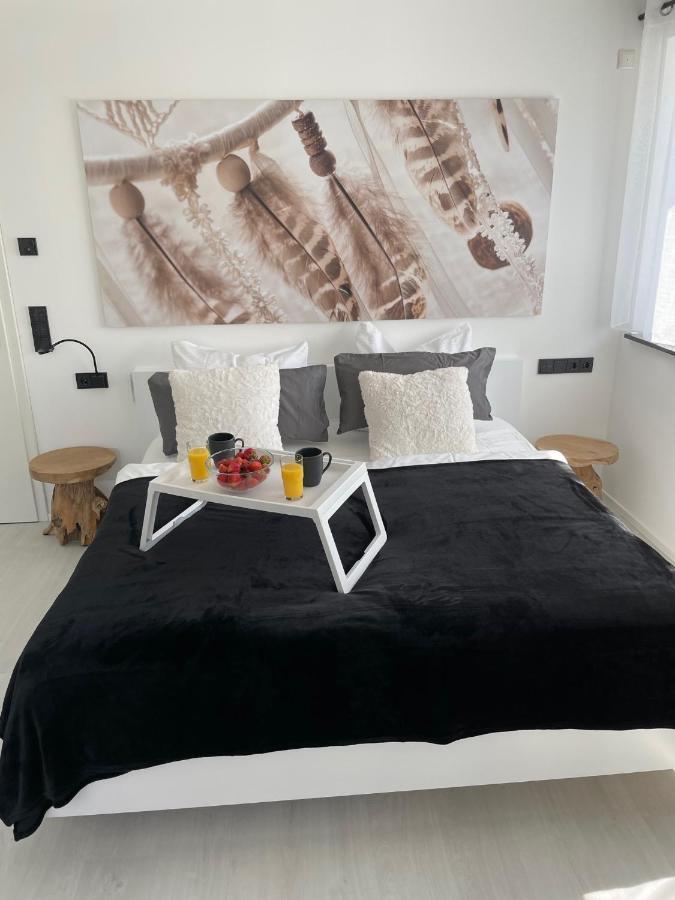 Apartments Saaldorf-Ferienhaus Mit 6 Apartments 45Qm-120Qm Direkt Am Thueringer Meer-Bleilochtalsperre 바트 로벤슈타인 외부 사진