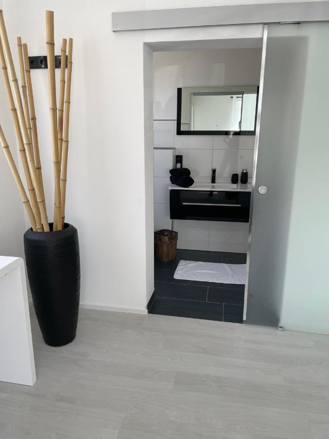 Apartments Saaldorf-Ferienhaus Mit 6 Apartments 45Qm-120Qm Direkt Am Thueringer Meer-Bleilochtalsperre 바트 로벤슈타인 외부 사진