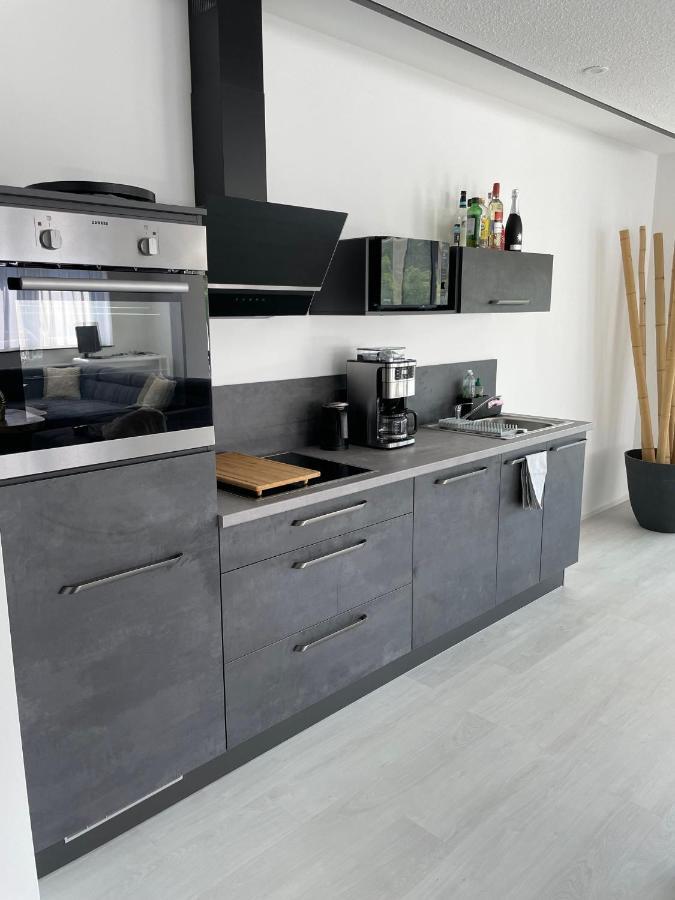 Apartments Saaldorf-Ferienhaus Mit 6 Apartments 45Qm-120Qm Direkt Am Thueringer Meer-Bleilochtalsperre 바트 로벤슈타인 외부 사진