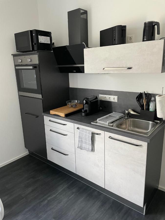 Apartments Saaldorf-Ferienhaus Mit 6 Apartments 45Qm-120Qm Direkt Am Thueringer Meer-Bleilochtalsperre 바트 로벤슈타인 외부 사진