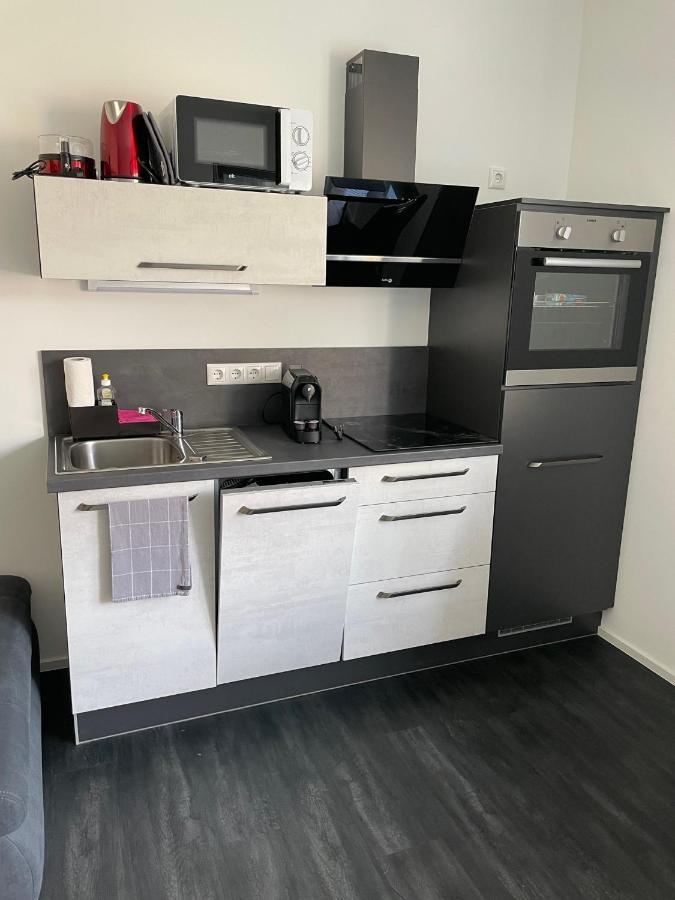 Apartments Saaldorf-Ferienhaus Mit 6 Apartments 45Qm-120Qm Direkt Am Thueringer Meer-Bleilochtalsperre 바트 로벤슈타인 외부 사진