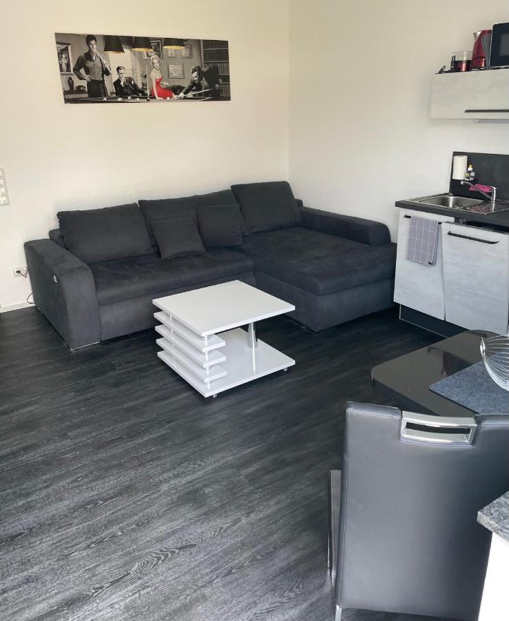 Apartments Saaldorf-Ferienhaus Mit 6 Apartments 45Qm-120Qm Direkt Am Thueringer Meer-Bleilochtalsperre 바트 로벤슈타인 외부 사진
