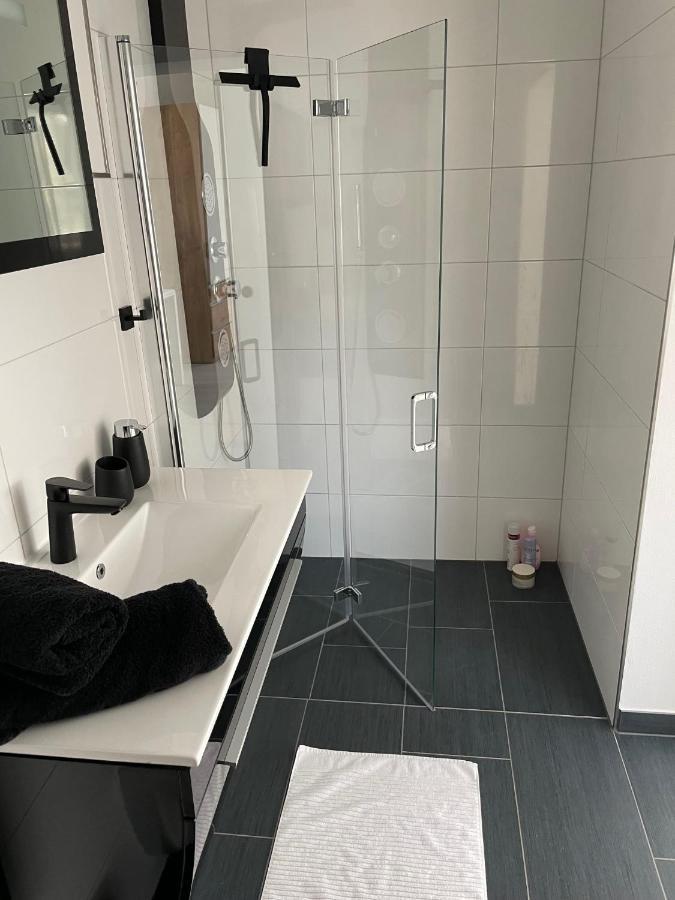 Apartments Saaldorf-Ferienhaus Mit 6 Apartments 45Qm-120Qm Direkt Am Thueringer Meer-Bleilochtalsperre 바트 로벤슈타인 외부 사진