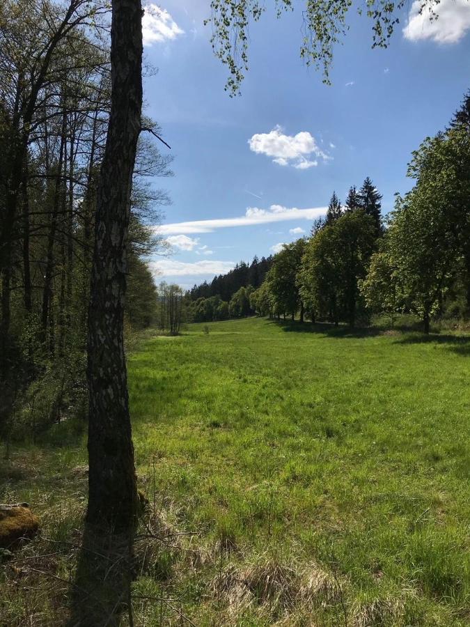Apartments Saaldorf-Ferienhaus Mit 6 Apartments 45Qm-120Qm Direkt Am Thueringer Meer-Bleilochtalsperre 바트 로벤슈타인 외부 사진
